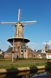 Windmühle mit Nieuwe Kerk und Oude Kerk im Hintergrund.