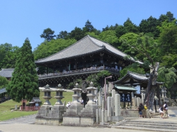 Eine weitere Tempelanlage in Nara.