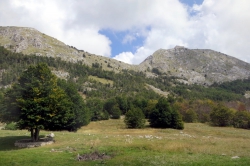 Jezerski Vrh im Nationalpark Lovćen.