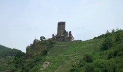Burg Metternich