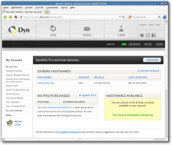 Ein eingerichtetes DynDNS-Konto.