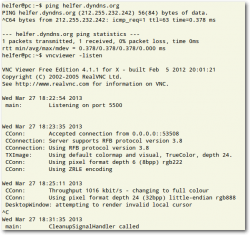 Ping des Helfer-PCs und Start des VNC-Viewers. 