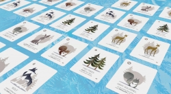 Winterhaven Woods: Tiere im verschneiten Wald (Tabletopia)