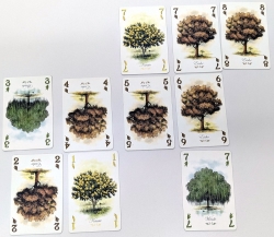 Arboretum