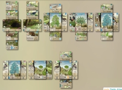 Mischwald: Dartmoor (BGA)