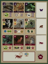 Wildscape – Auslage mit Tierkarten