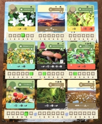Earth Express – Spielertableau mit Pflanzen und Terrain