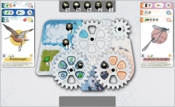 Arctica – Spielerauslage (BGA) Arctica – Spielerauslage (BGA)