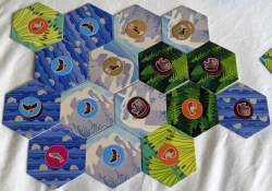 Cascadia Junior – Auslage Cascadia Junior – Auslage
