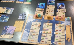 Borealis: Arctic Expeditions