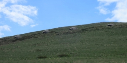 Bunker aus Zeit von Hoxha.