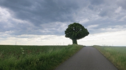 Düstere Wolken zogen auf.