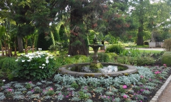 Im botanischen Garten von Leuven.