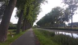 Hier weiß man sofort, wie der Wind weht.