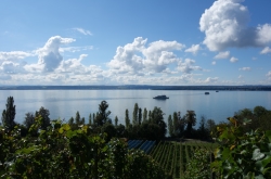 Bodensee am Weinhang