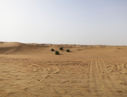 Fast leere Wüste