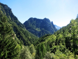 Blick auf den Bazahlerkopf (vermutlich).