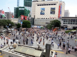 Die bekannte Kreuzung in Shibuya.