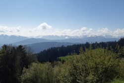 Aussicht vom Pfänder