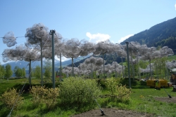 Kristallwolken am Himmel