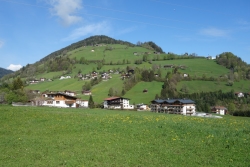 Viel Grün in Niederau