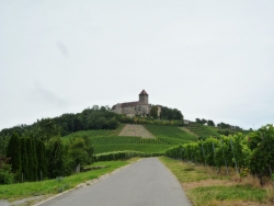 tag01_bild04_burg_lichtenberg