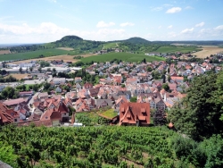 tag01_bild05_beilstein