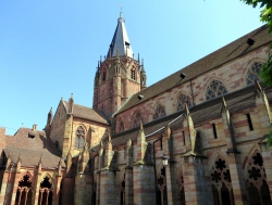 Abteikirche St. Peter und St. Paul