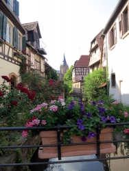 Blick von der Schlupfgass' auf die Abteikirche