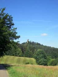 Der Drachenfels aus der Ferne …