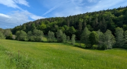 Fahrt durch das Siebenmühlental