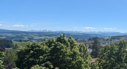 Blick vom Turm in Lindenberg
