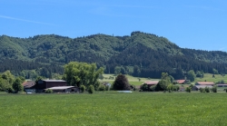 Wälder rundherum 