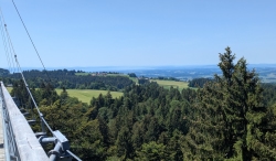… und auch den Bodensee von Scheidegg aus.