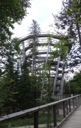 Aussichtsturm am Baumwipfelpfad