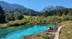 See Zelenci