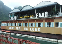 „Ha Long Pearl“-Perlenfarm.