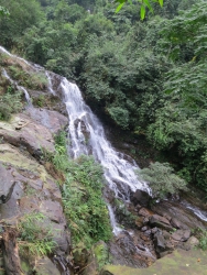 Wasserfall im botanischen Garten.