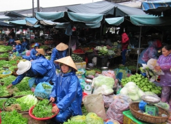 Auf dem Markt gibt es viel Gemüse …