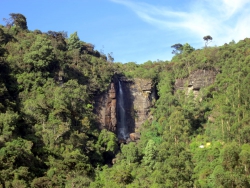 Lovers Leap Wasserfall.