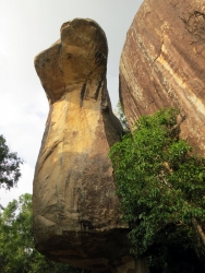 Der Kobra-Felsen.