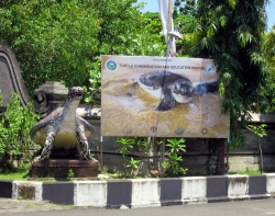 Turtle Conservation and Education Centre.