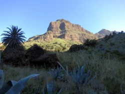 Roque Tarucho bei Masca.