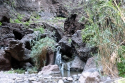 Ein kleiner Bach fließt durch die Schlucht.