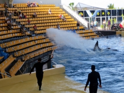 … und machten die Zuschauer in der „Splash Area“ nass.