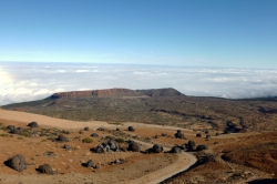 Zahlreiche solcher „Eier“ findet man auf dem Teide verstreut.